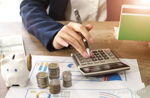 中職會計(jì)專業(yè)為何備受青睞？解析審計(jì)與稅務(wù)服務(wù)的吸引力